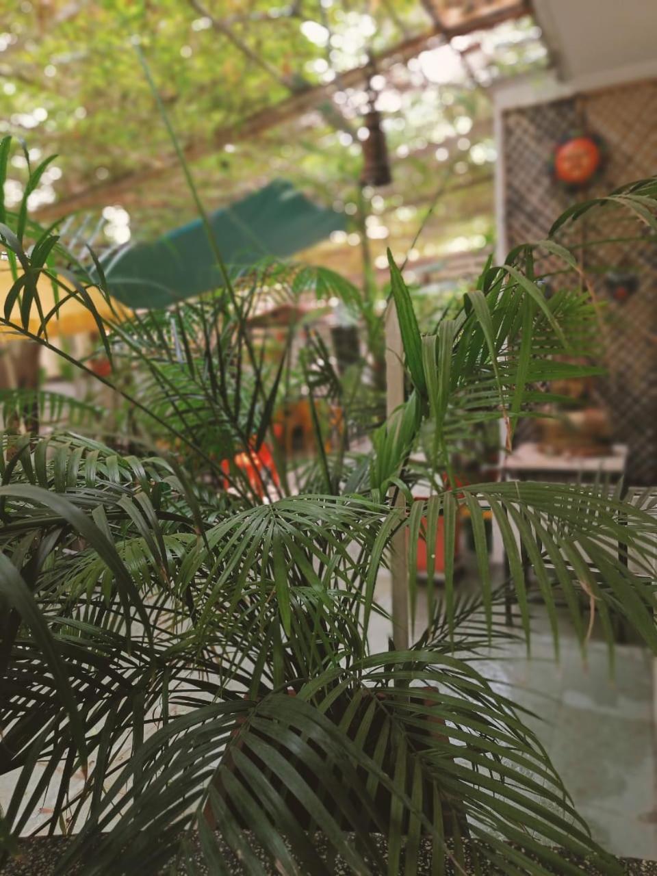 Srinekatan Heritage Villa Homestay Ahmedabad Eksteriør billede