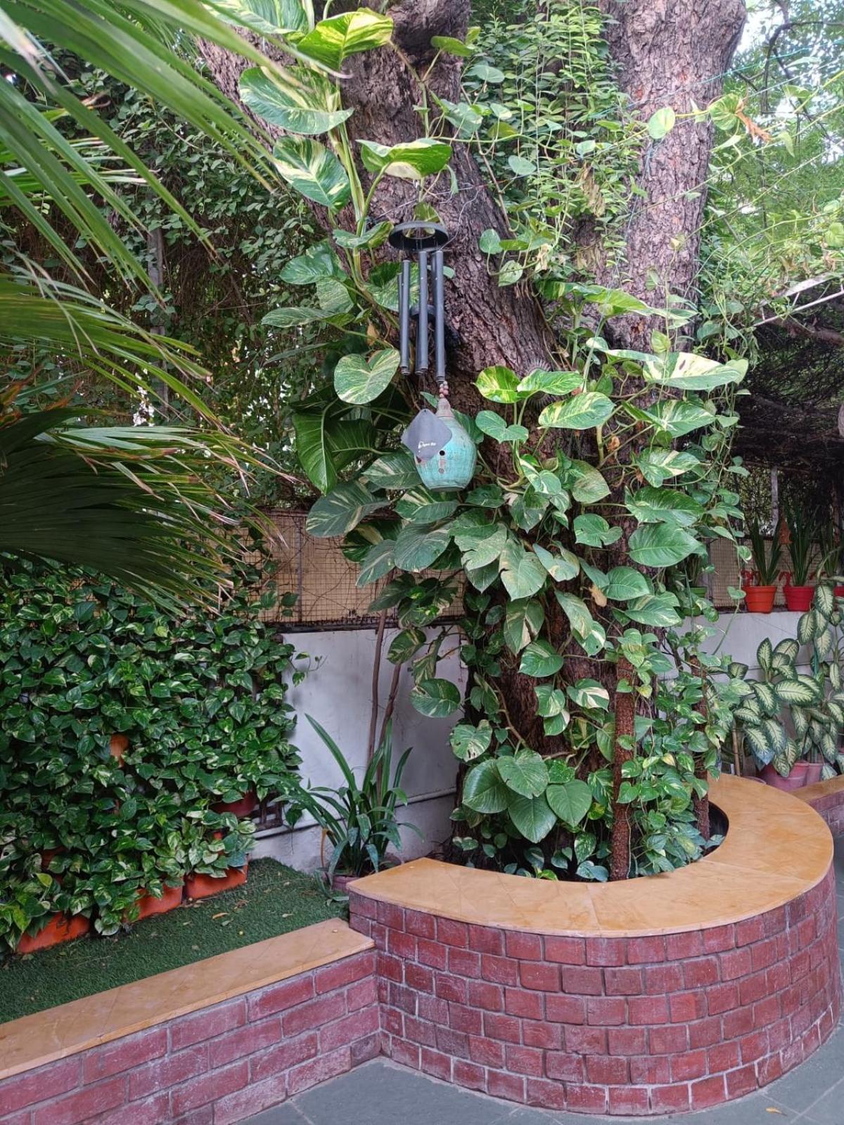 Srinekatan Heritage Villa Homestay Ahmedabad Eksteriør billede